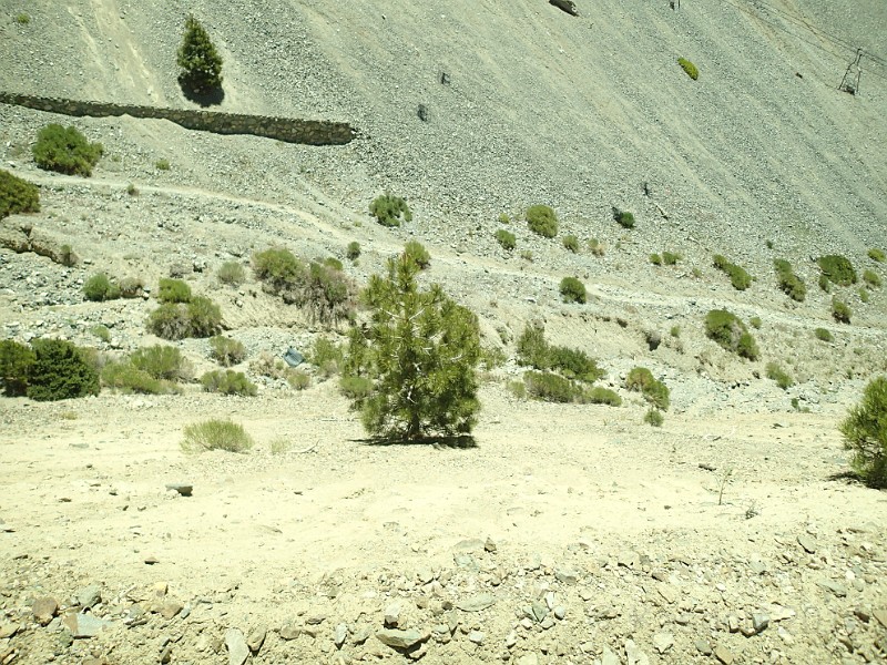 2014 Mt Baldy Cali 177.JPG - Summit Mt San Antonio (Mt Baldy) California